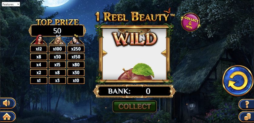 Hraj zadarmo 1 Reel Beauty