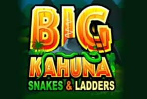 Big Kahuna Snakes & Ladders