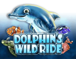 Dolphin’s Wild Ride