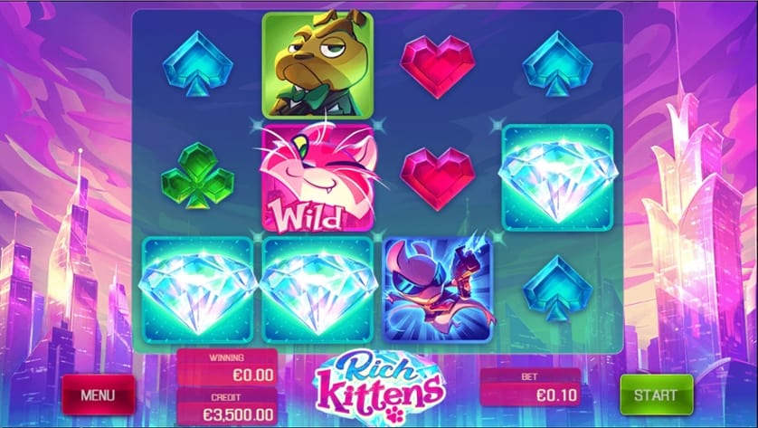 Hraj zadarmo Rich Kittens