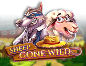 Sheep Gone Wild