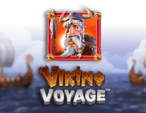 Viking Voyage