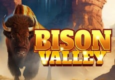 Bison Valley