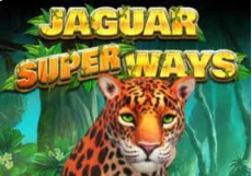 Jaguar SuperWays