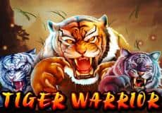 Tiger Warrior