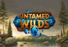 Untamed Wilds