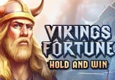 Vikings Fortune: Hold and Win