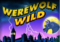 Werewolf Wild