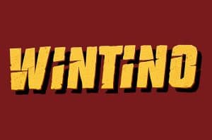 Wintino_casino logo